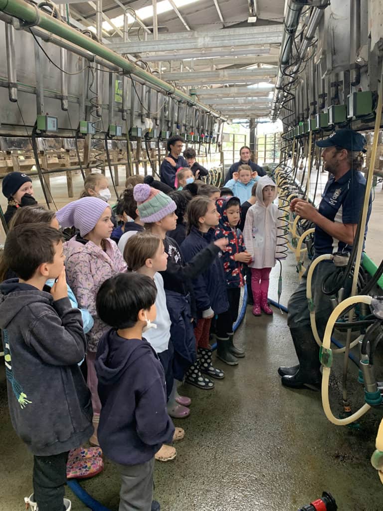 Students learn how to look after the resident cattle at Caulfield Grammar's Yarra Junction Campus