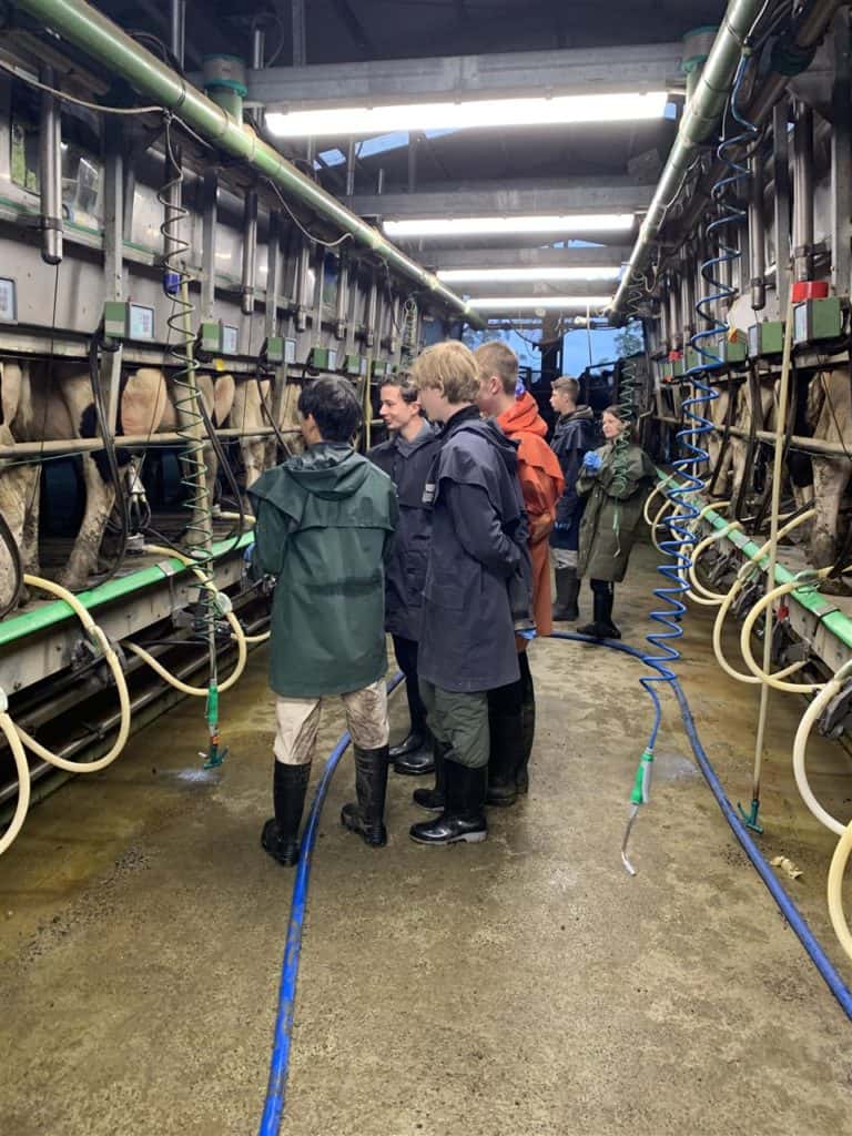 Caulfield Grammar student enjoy learning about the local live stock at the Yarra Junction Campus.
