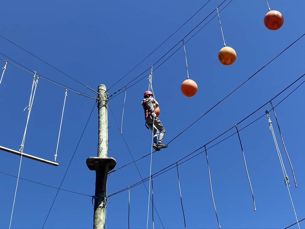 Primary students enjoy education outdoors on the ropes course at Caulfield Grammar's Yarra Junction Campus