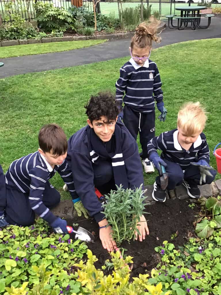Primary students learning outdoors at Malvern Campus, Caulfield Grammar School