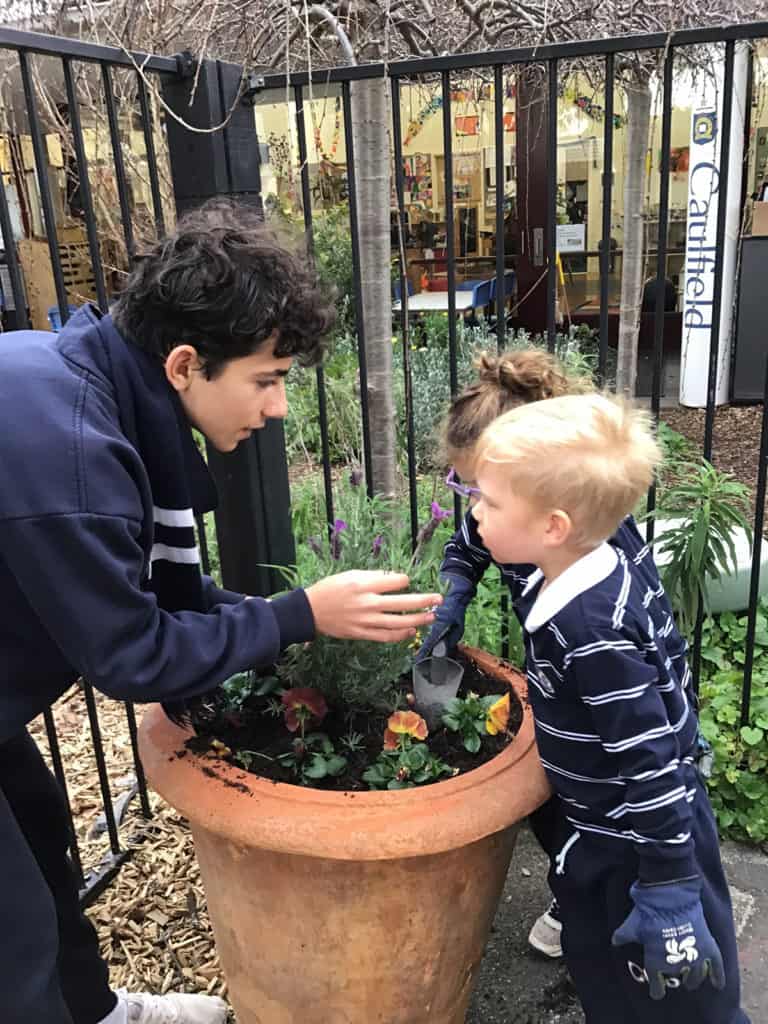 Primary students learning outdoors at Malvern Campus, Caulfield Grammar School