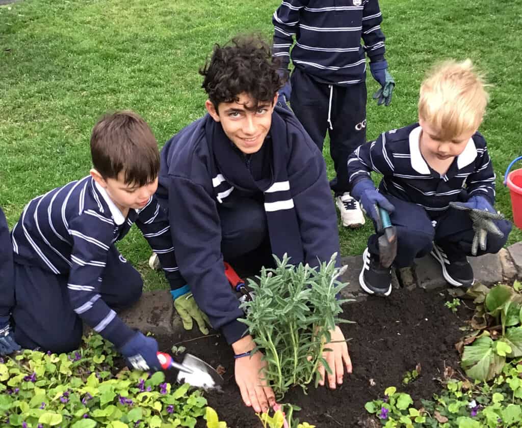 High school students planting herbs in garden